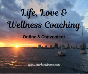 Miami skyline at sunset, with text: Life, Love & Wellness Coaching - Online & COnvenient - www.starkwellness.com
