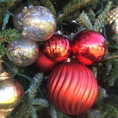 Cluster of red and silver decorations on outdoor natural Christmas tree.