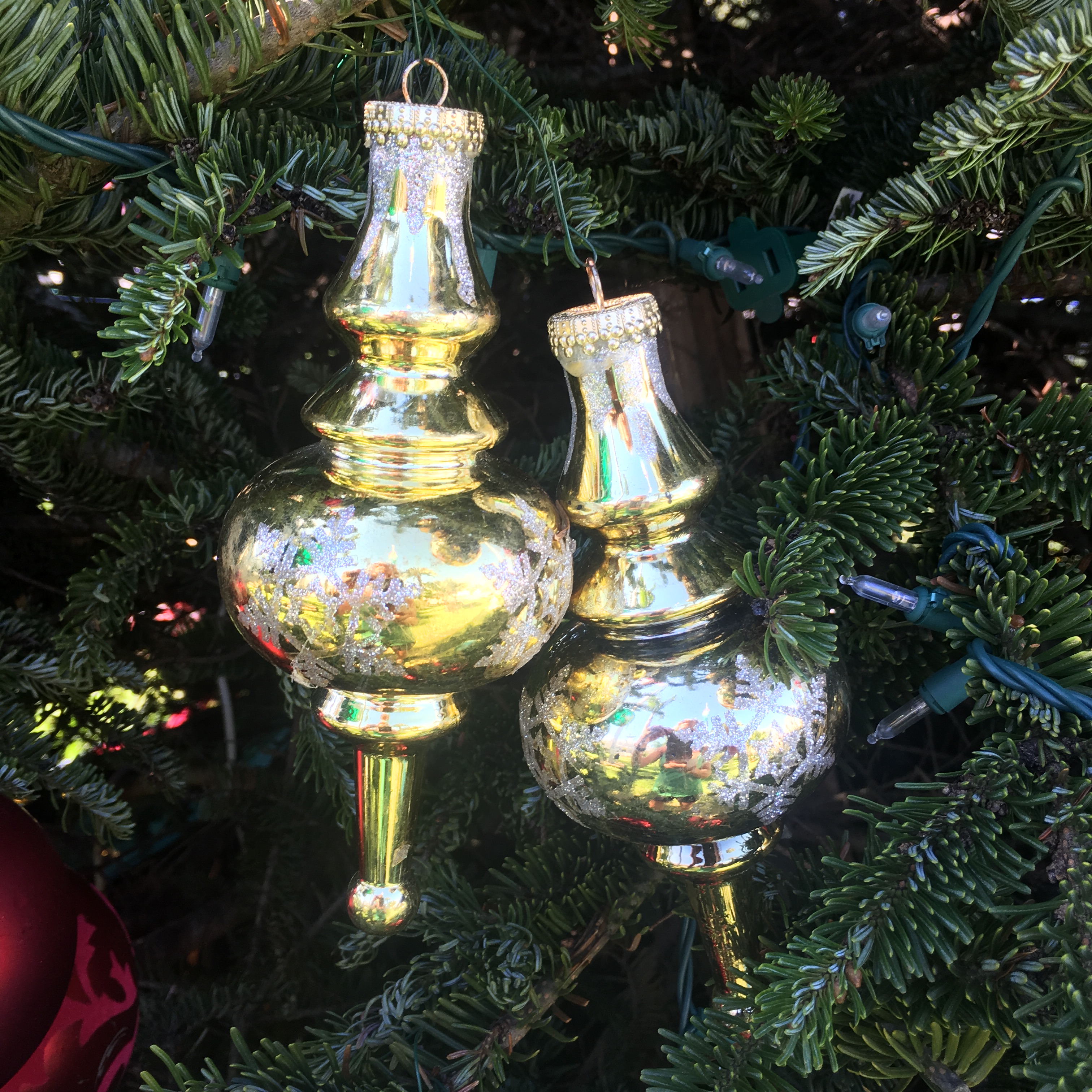 A pair of silver bells on an outdoor natural Christmas tree.