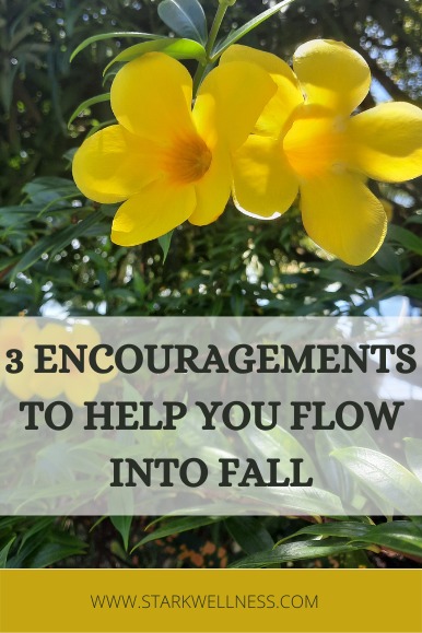 3 Encouragements to Help You Flow Into Fall -- Yellow Esperanza flowers