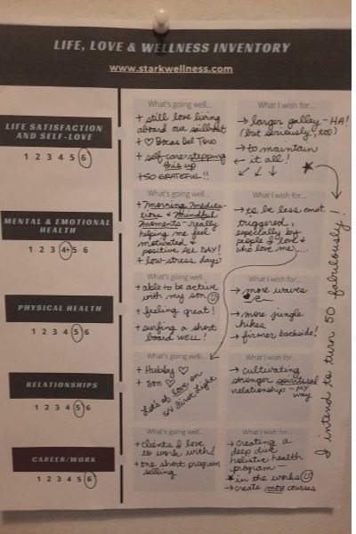 Holistic Wellness Inventory and Goal Setting Worksheet Pg 1 Example