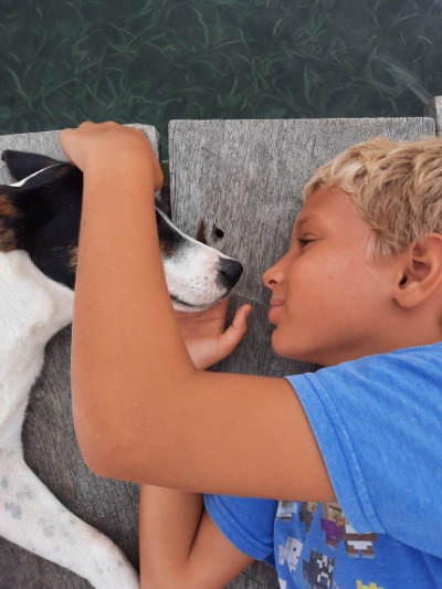 Beat Stress with an Animal Love Affair - my son dog-sitting