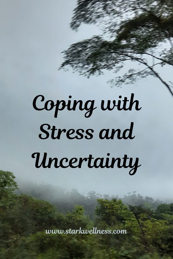 Coping with Stress and Uncertainty blog post, image of misty sky through trees --www.starkwellness.com