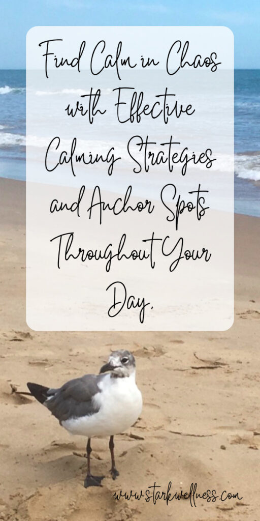 Calm seagull on the beach with quote box: Find calm in the chaos with effective calming strategies and anchor spots throughout your day. --www.starkwellness.com