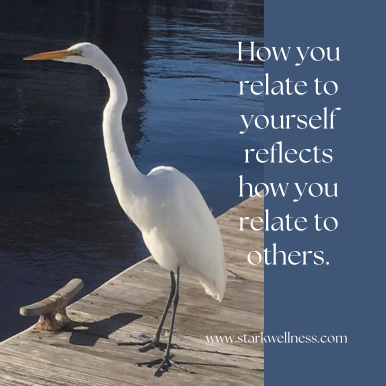 White crane on the dock of a bay with text: How you relate to yourself reflects how you relate to others. --www.starkwellness.com