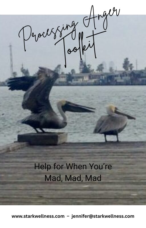 Processing Anger Toolkit Cover with two pelicans arguing - https://www.subscribepage.com/processing-anger-toolkit